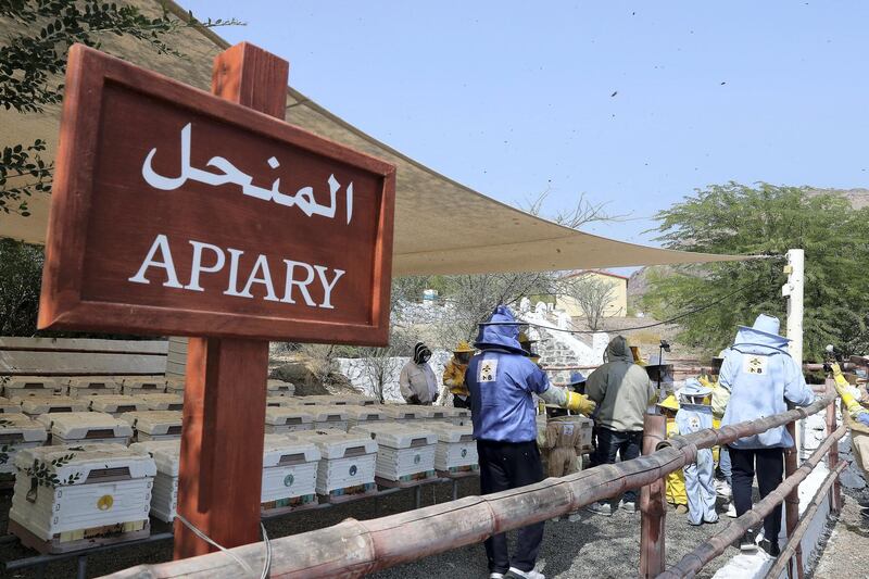 DUBAI, UNITED ARAB EMIRATES , November 7 – 2020 :- Visitors wearing protective beekeeping suits and face shields during the tour at the Hatta honey bee garden at the Hatta in Dubai. The ticket price of honey bee garden tour is 50 AED per person.  (Pawan Singh / The National) For News/Online/Instagram/Big Picture. Story by Nick Webster