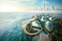 Designs unveiled for Dubai Mangroves, world’s largest coastal regeneration project