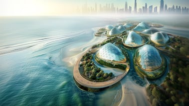 Plans have been revealed for Dubai Mangroves, which would be the world's largest coastal regeneration project. Photo: URB