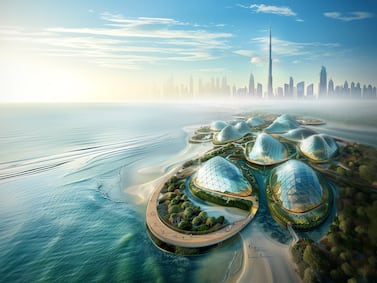 Plans have been revealed for Dubai Mangroves, which would be the world's largest coastal regeneration project. Photo: URB