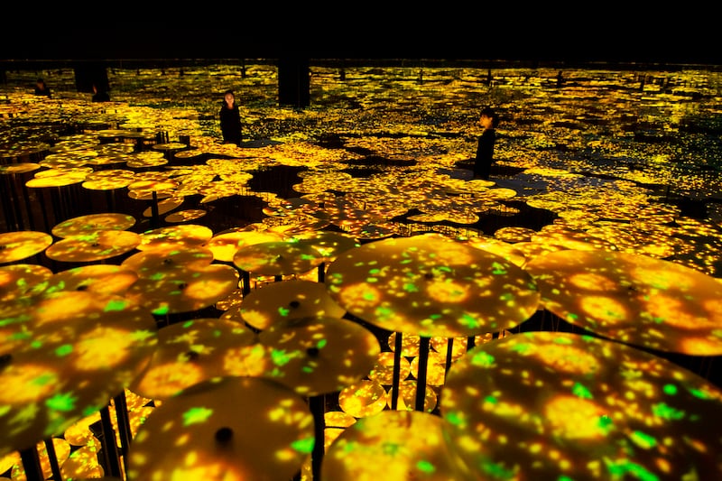 'Memory of Topography_Autumn_Sweet Olive' by teamLab.