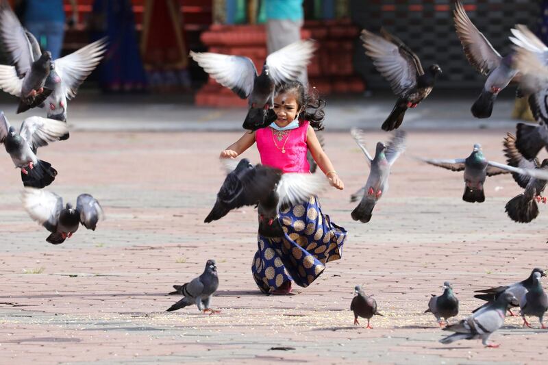 A girl chases pigeons outside a temple, during the Hindu festival of Diwali, amid the coronavirus disease (COVID-19) outbreak in Kuala Lumpur, Malaysia November 14, 2020. REUTERS/Lim Huey Teng