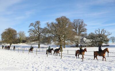 NAUNTON, GLOUCESTERSHIRE - DECEMBER 12:  Racehorses workout in heavy snow conditions during the morning gallops at the yard of national hunt trainer Nigel Twiston-Davies on December 12, 2017 in Naunton, Gloucestershire.  (Photo by Michael Steele/Getty Images)