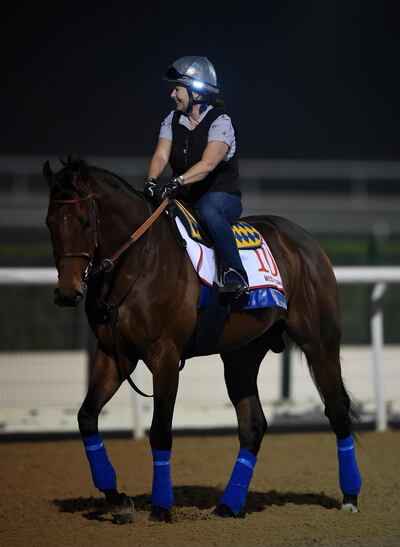 DUBAI, UNITED ARAB EMIRATES - MARCH 29: West Coast during track work day prior to Dubai World Cup 2018 at the Meydan Racecourse on March 29, 2018 in Dubai, United Arab Emirates.  (Photo by Tom Dulat/Getty Images)