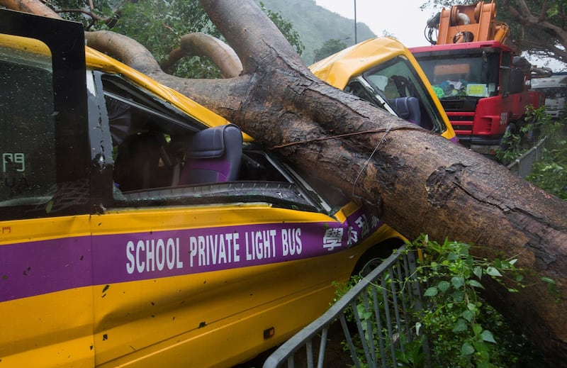 A school bus is struck by a fallen tree in Hong Kong. EPA