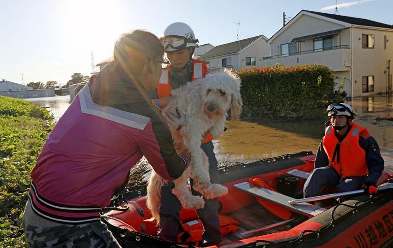 Firefighters evacuate a dog (C) from a flooded area in Kawagoe, Saitama prefecture. AFP