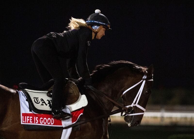 Dubai World Cup favourite Life Is Good gallops in the morning track work at Meydan Racecourse. AP Photo