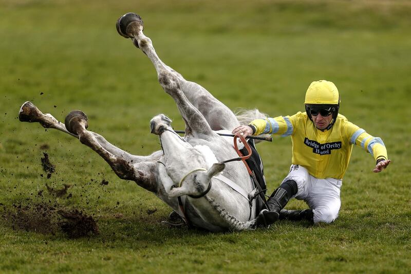 Jeremiah McGrath falls from Wallace Spirit in The Be Wiser Insurance Novices' Hurdle Race at Newbury racecourse in Newbury, England. Alan Crowhurst / Getty Images