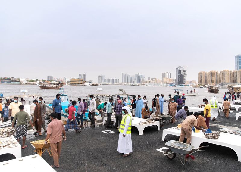 AJMAN, UNITED ARAB EMIRATES. 12 APRIL 2020. 
Ajman Fish Market’s auction.
(Photo: Reem Mohammed/The National)

Reporter:
Section: