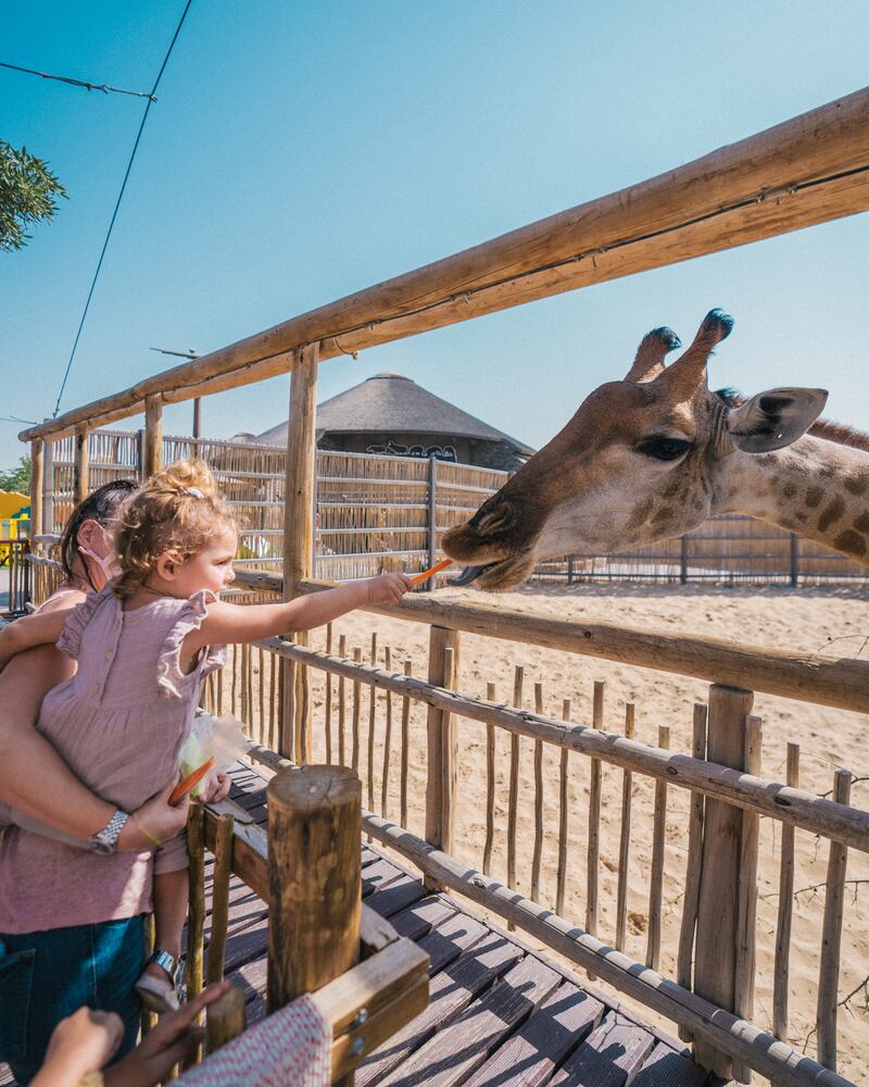 Visitors can interact with a few of the park's residents.