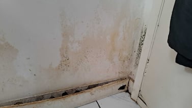 Mould inside the home can cause discolouration and disfiguration of walls, door frames and skirting boards. Sarah Maisey / The National