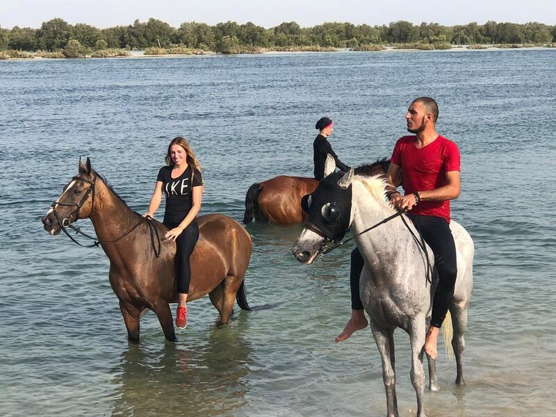 3. Take an early morning swim with horses. Courtesy Dhabian Equestrian Club