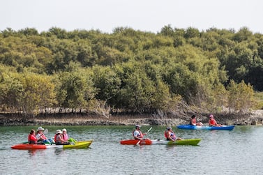 Abu Dhabi, UAE, April 15, 2018. Stand alone images at the Eastern Mangroves Promenade. "Vive la France". French tourists set off for a kayaking trip through the mangroves. Victor Besa / The National National For: Jake Badger