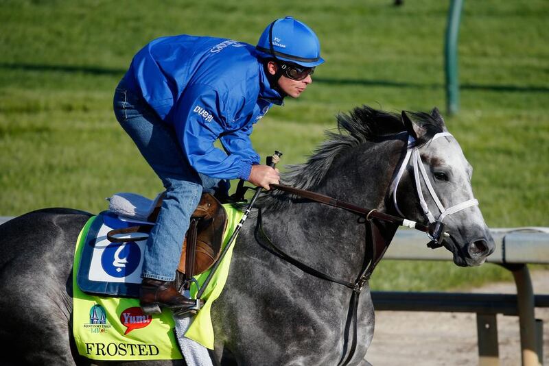 Frosted goes over the track during morning training for the Kentucky Derby at Churchill Downs on April 29, 2015 in Louisville, Kentucky.   Rob Carr/Getty Images/AFP