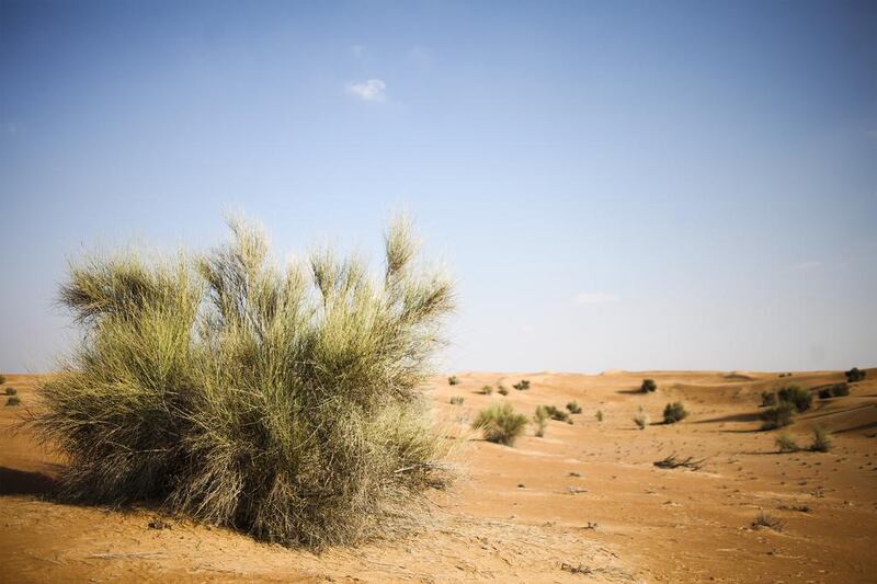 The untouched landscape where Platinum Heritage Tours operates. Lee Hoagland / The National