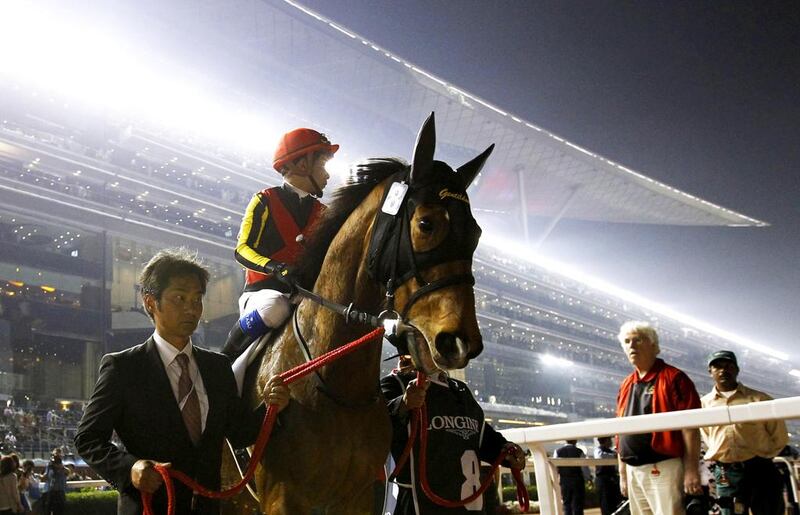 Racing horse Gentildonna, out of Japan, was one of the impressive winners at Meydan on World Cup night last year. REUTERS/Caren Firouz