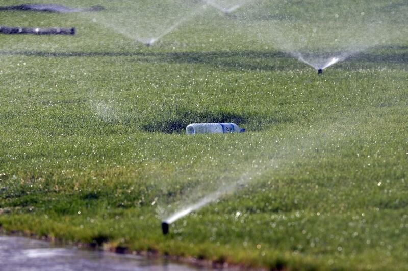 Dubai has a treated sewage effluent network around the emirate, where treated wastewater is used to water plants and trees. Jeff Topping / The National