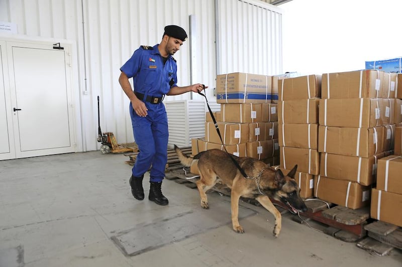 A Dubai Customs inspector uses a special canine unit to search for drugs in an unloaded shipment in Jebel Ali Port. Sarah Dea / The National