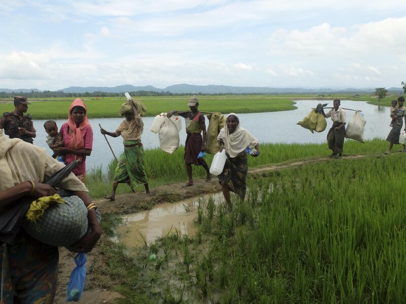 An elderly Rohingya woman searches for her grandchild among the refugees walking through paddy fields from the Bangladesh border to a refugee camp on October 19, 2017. Fiona MacGregor for The National