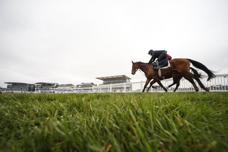 Racehorses enjoy a canter on the all weather gallop before racing at Aintree racecourse in Liverpool, England. Alan Crowhurst / Getty Images