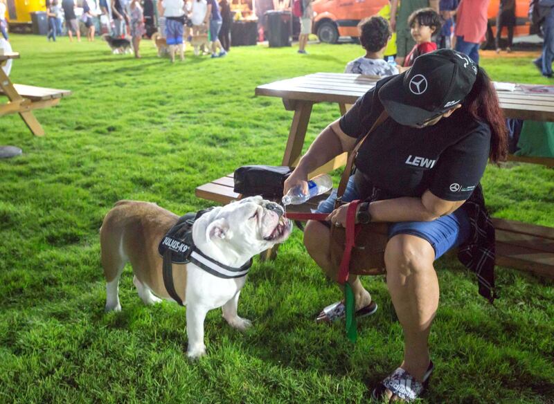 ABU DHABI, UNITED ARAB EMIRATES, 28 OCTOBER 2018 - A pet owner taking care of her pet dog at the inaugural of Yas Pet Together event at Yas Du Arena, Abu Dhabi.  Leslie Pableo for The National for Evelyn Lau's story