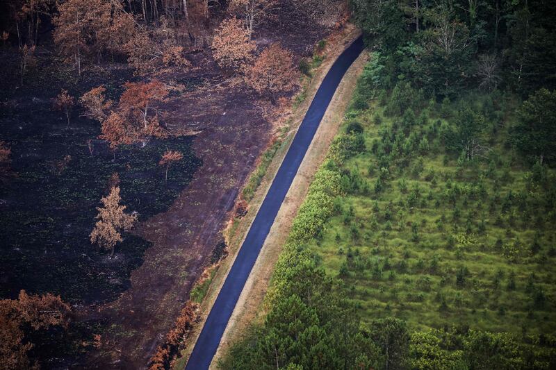 An aerial view of a forest after wildfires near Landiras, south-western France. The Gironde prefecture said the two fires, which destroyed 20,800 hectares of forest in the past 10 days and forced out more than 36,000 people, are extinguished, but that firefighters must remain to watch for recurrences.  AFP
