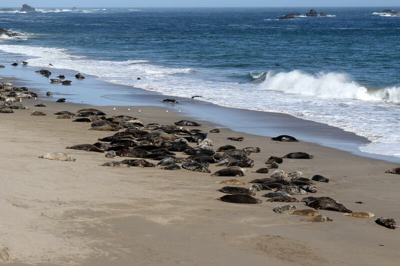 A remote shoreline on the island.