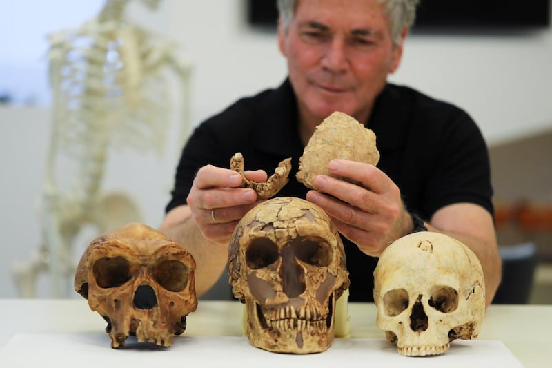 Tel Aviv University Professor Israel Hershkovitz, holds what scientists say are two pieces of fossilised bone of a previously unknown kind of early human discovered at the Nesher Ramla site in central Israel, during an interview with Reuters at The Steinhardt Museum of Natural History in Tel Aviv, Israel June 23, 2021. Picture taken June 23, 2021. REUTERS/Ammar Awad