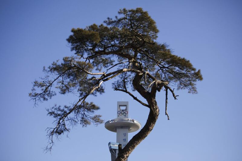 The Olympics ski jumping tower is seen behind a tree ahead of the Pyeongchang 2018 Winter Olympic Games. David Gannon / AFP