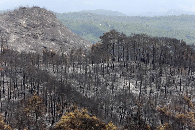 The charred landscape left behind by wildfires in Syria's Latakia governorate on Saturday. AFP