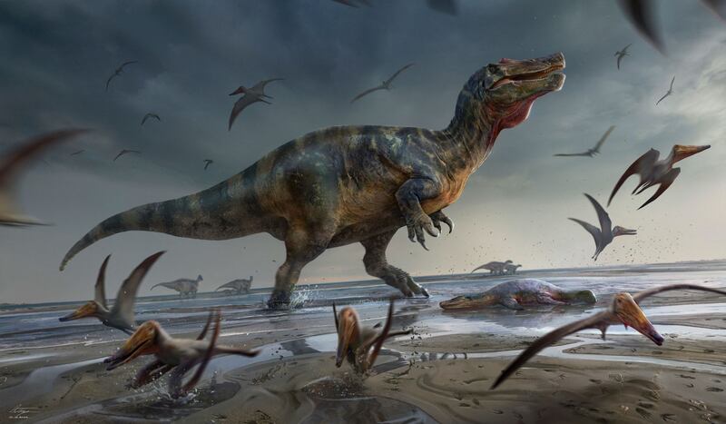 An artist’s reconstruction of the 'White Rock spinosaurid' on the sandflats of the Isle of Wight. University of Southampton