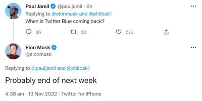 Elon Musk said Twitter Blue was 'probably' coming back next week in a  Twitter exchange on Sunday. Photo: Twitter