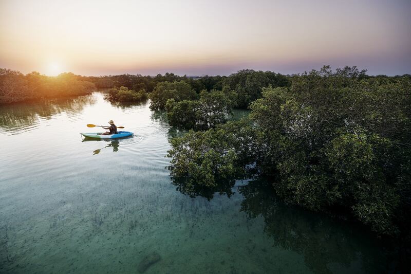 The serenity of Jubail Island’s sprawling mangroves. Photo: Department of Culture and Tourism