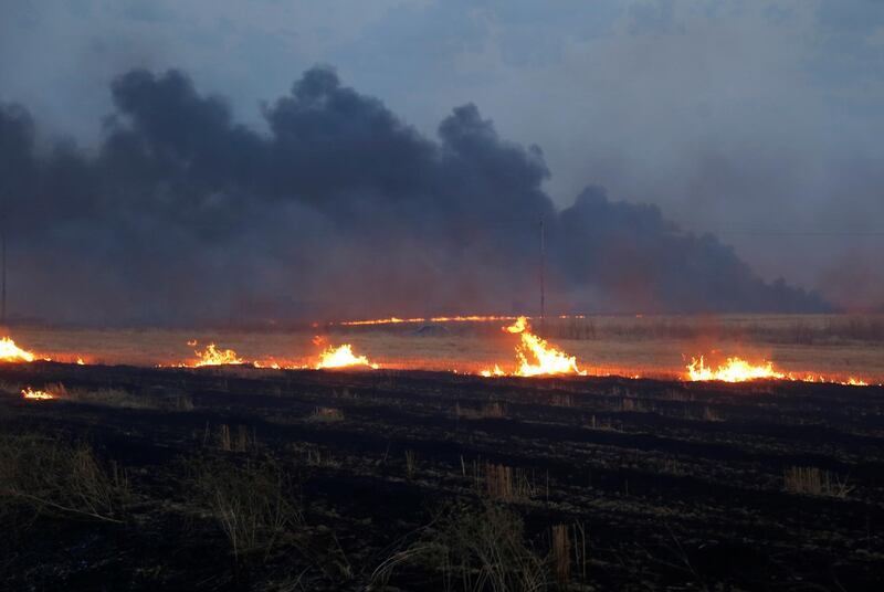 A fire and smoke rises from a wheat field on the outskirts of Mosul. Reuters