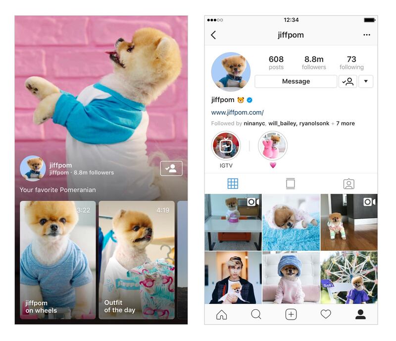 You'll now be able to watch longform videos from your favourite social media pet celebrities, like @JiffPom. Courtesy Instagram