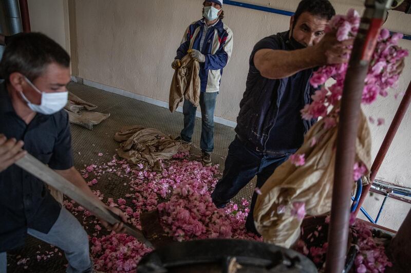 Roses being loaded into a distiller at a cosmetics production facility in Turkey. Getty Images