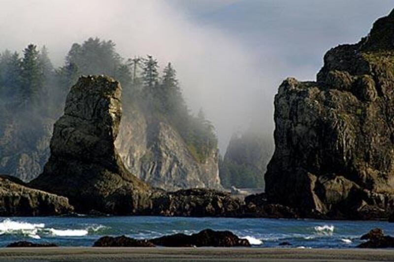 The stark landscape of Olympic National Park, Washington. Between May and August, TrekAmerica is offering tours of sites in Oregon and Washington that featured in the Twilight movies.