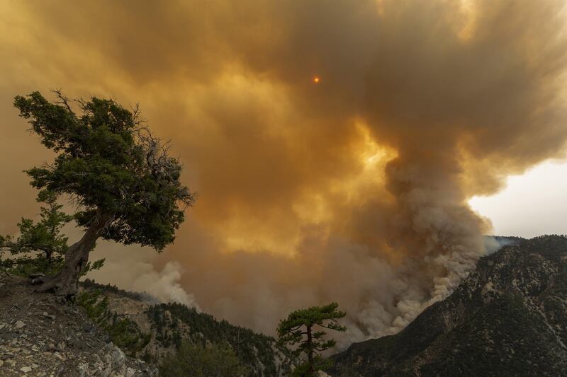 The Bobcat Fire advances in the Angeles National Forest. AFP