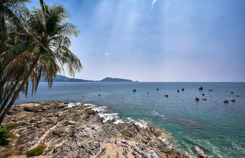The annual release of marine life into the Andaman Sea is part of a shark-breeding programme led by the Phuket Marine Biological Centre. Photo: Unsplash / Norbert Braun
