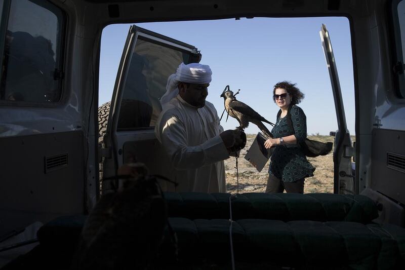Falconers from the private office of HH Sheikh Mohammed bin Zayed al Nahyan release falcons back into the wild in Aktau, Kazakhstan. Silvia Razgova / The National