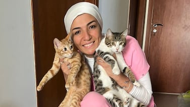 Vet Dina Elgamal said the storms in Dubai have affected animals, especially cats, as many are afraid of water. Photo: Dr Dina Elgamal