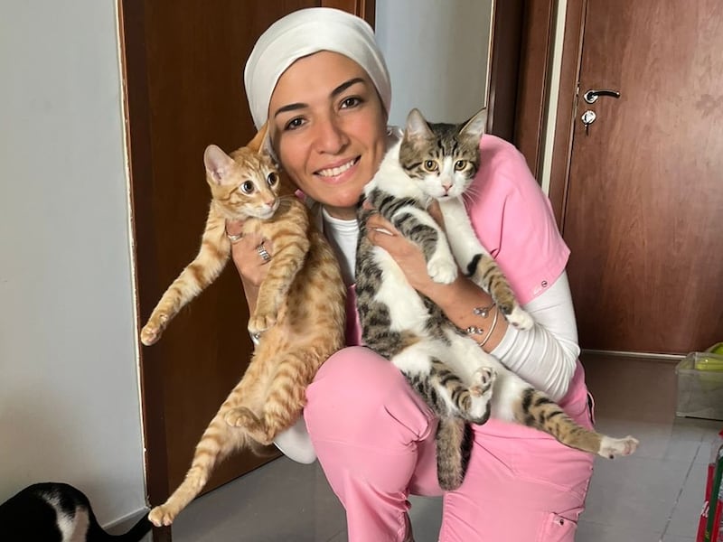 Vet Dina Elgamal said the storms in Dubai have affected animals, especially cats, as many are afraid of water. Photo: Dr Dina Elgamal