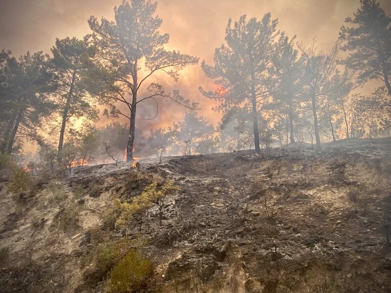 A forest burns as fires rage along Turkey's southern coast.