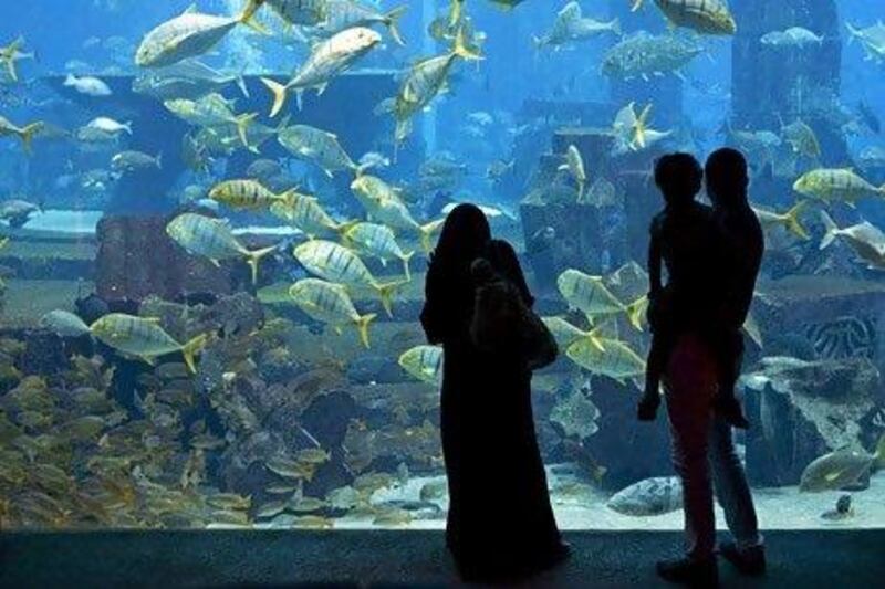 Atlantis Hotel is forecasting occupancy levels more than 90 per cent for this month and an occupancy percentage in the mid 80s for July and August. Above, visitors in the Lost Chambers in the Atlantis. Jeff Topping / The National