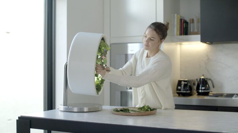 Rotofarm by Bace is an at-home rotating hydroponics system powered by an LED light.