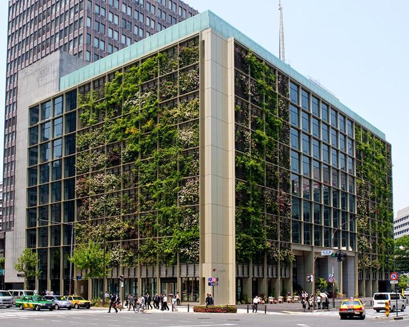 Urban farming by the Pasona Group in Tokyo, Japan, in 2010. Courtesy Kono Designs