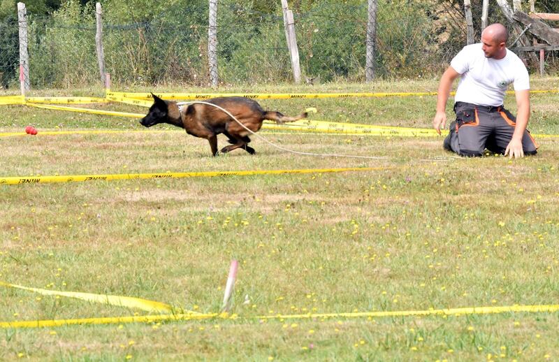 After Bosnia's 1992-1995 bloody conflict, about 8 per cent of the country's territory remained infested with mines and other explosive devices. AFP