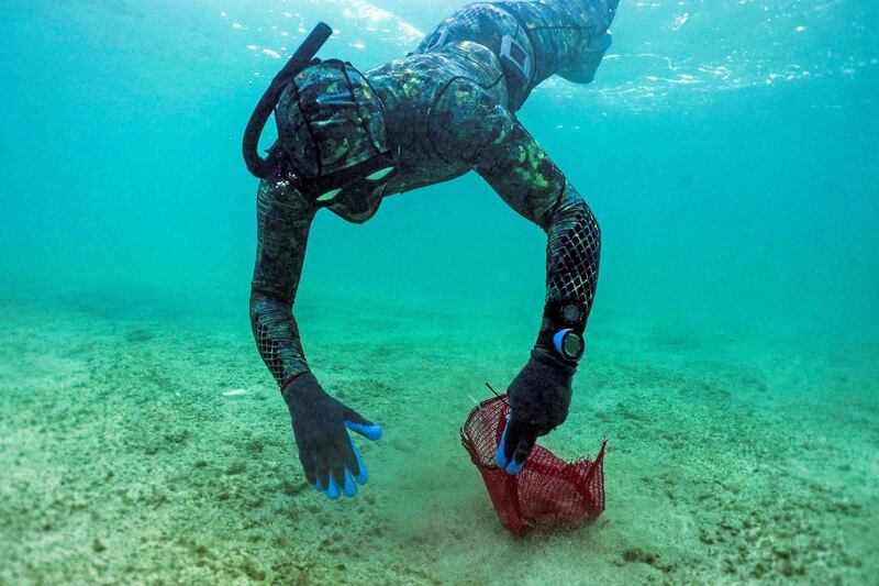 Lebanese Freedivers take part in the International Coastal Clean-Up Day in the northern port city of Tripoli. AFP