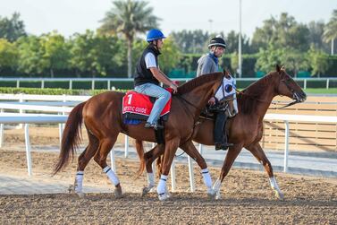 Mystic Guide is Godolphin's main challenger at the Dubai World Cup. Shutterstock