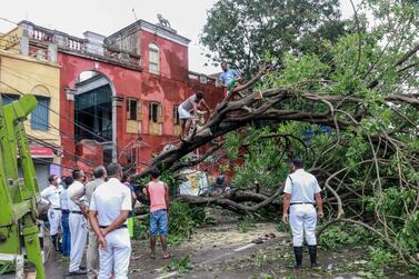 Residents and police officers gather around a tree that fell on electric lines on a street in Kolkata after the landfall of cyclone Amphan. AFP